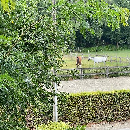 B&B Het Welthof Bree Dış mekan fotoğraf