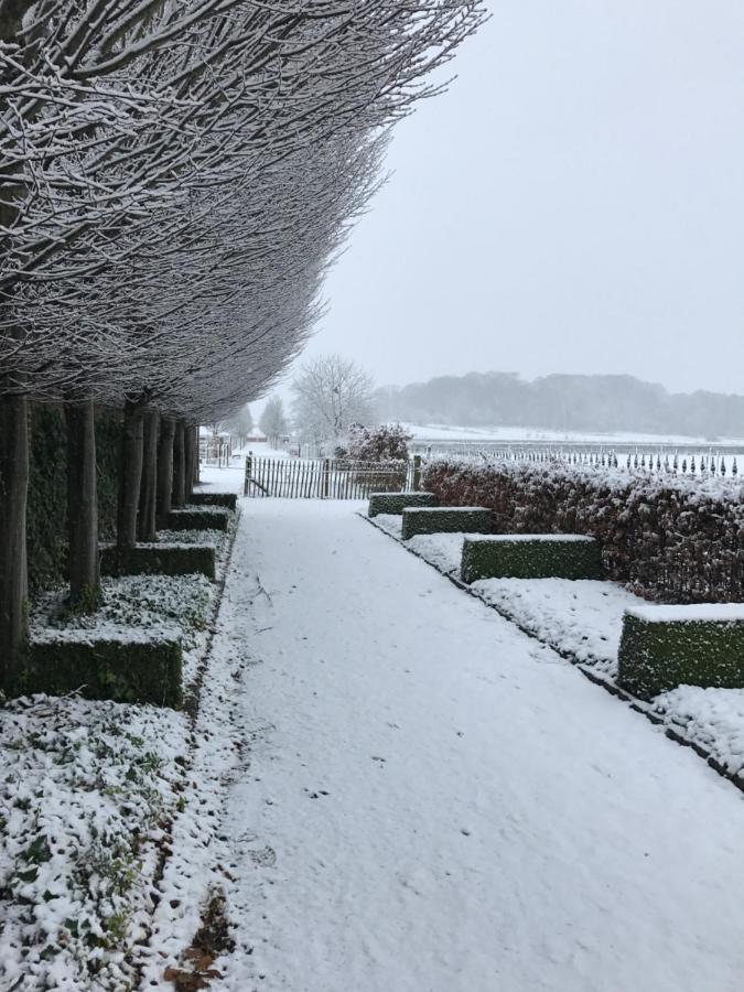 B&B Het Welthof Bree Dış mekan fotoğraf
