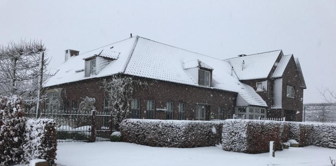 B&B Het Welthof Bree Dış mekan fotoğraf